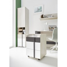 Datorgalda konteineris REMO 11